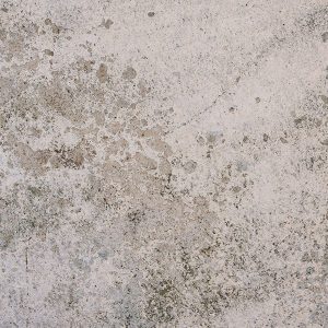 moldy wall