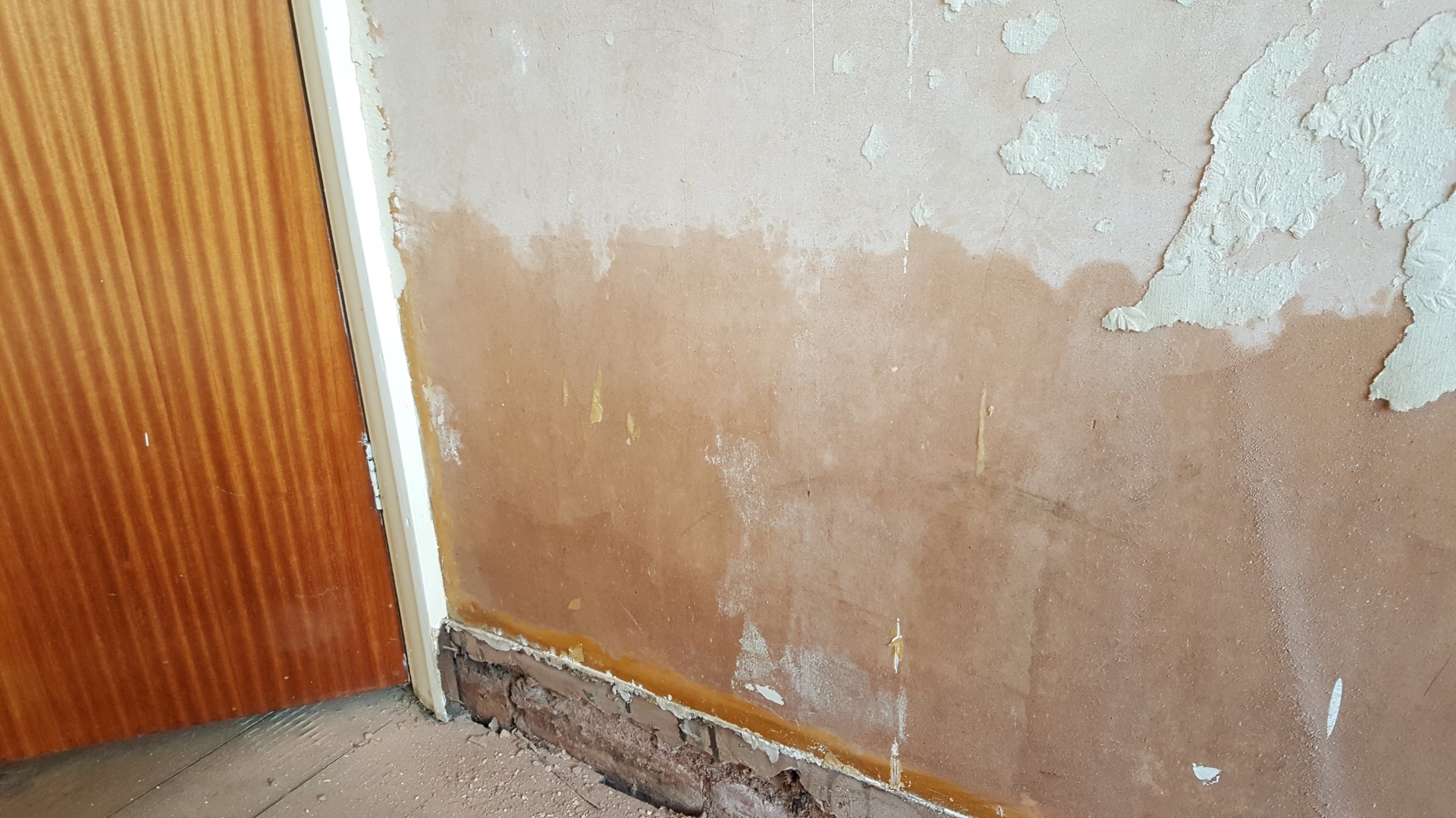 Wall damaged with rising damp